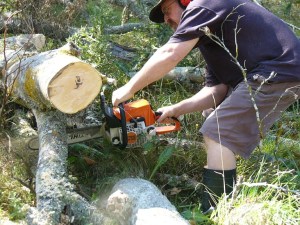 chainsawing 1