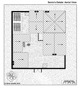 Senio's Estate 1 Aerial View